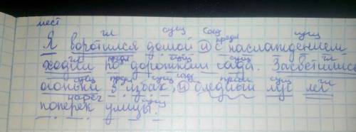 Синтаксический разбор предложений: я воротился домой и с наслаждением ходил по дорожкам сада.засвети