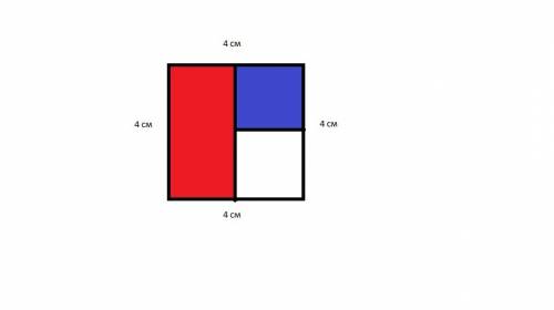 Начерти квадрат со стороной 4 см раздели его на 2 равных прямоугольника и закрась один из них красны