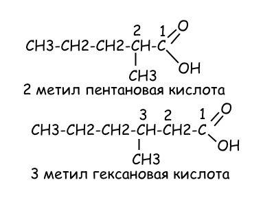 Структурная формула 1)2 метил пентановая кислота 2) 3 метил гексановая кислота