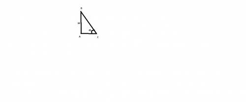 Впрямоугольном треугольнике один из катетов равен 10, а угол, лежащий напротив него, равен 45 градус