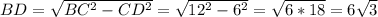 BD=\sqrt{BC^2-CD^2}=\sqrt{12^2-6^2}=\sqrt{6*18}=6\sqrt{3}