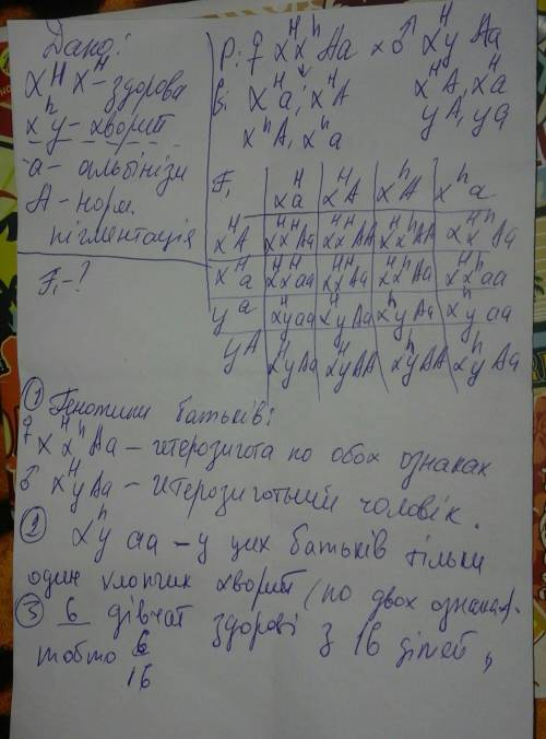 Улюдини дальтонізм – рецесивна, зчеплена з х-хромосомою ознака. альбінізм (відсутність пігментації)