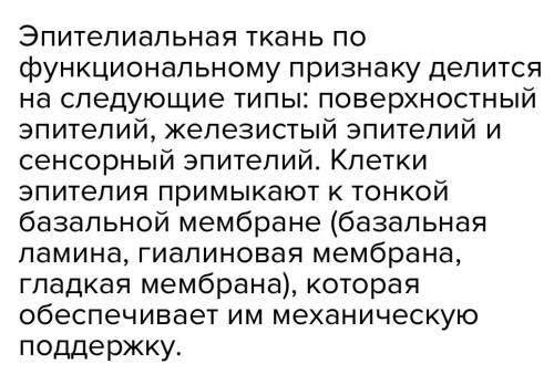 Клетки нервной ткани отличаются от клеток эпителиальной ткани наличием