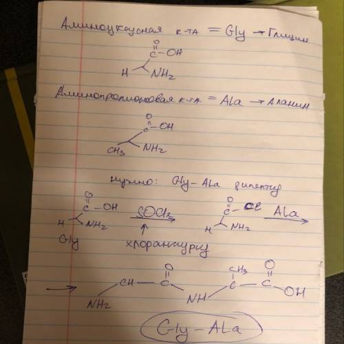 Написать образование дипептида из аминоуксусной и аминопропионовой кислоты