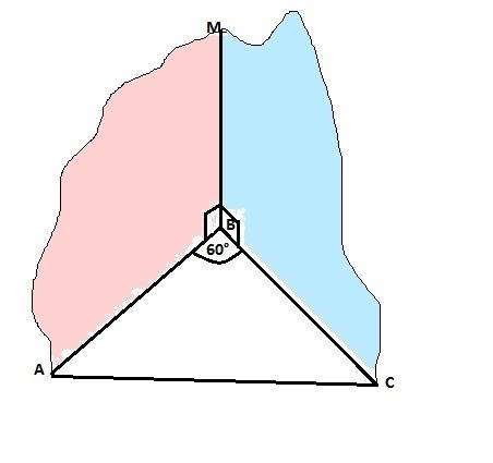 Отрезок мв - перпендикуляр к плоскости равностороннего треугольника авс. найдите угол между плоскост