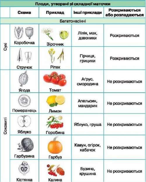 Таблица по биологии на тему распространения плодов: нужно написать распространение,особенность семян