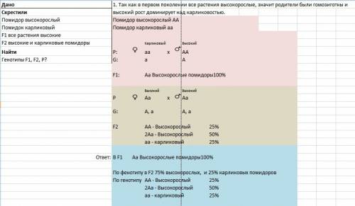Унаслідок схрещування високорослого помідора з карликовим всі рослини першого покоління мали високе