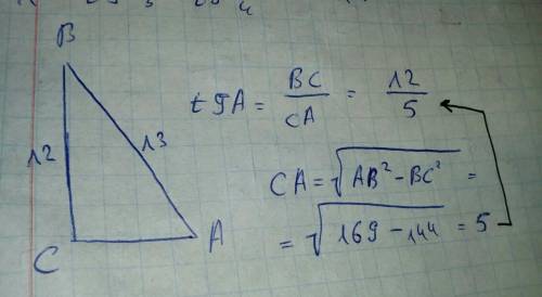 Впрямоуголном треугольнике abc с прямым c извесны длины сторон: bc=12,ab=13.найдите tg угол а​