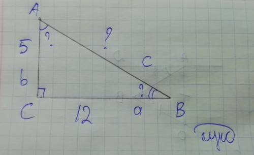 Втреугольнике abc угол c прямой ac=5 bc=12 найдите ab угол a угол b