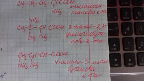 Складіть стуктурні формули таких кислот: 2 - амінопентанової; 3 - аміно - 2,3 - диметилбутанової; 4