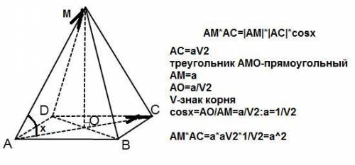 Много основание пирамиды mabcd является квадрат, а каждая ее ребро равно а. найдите скалярное произв