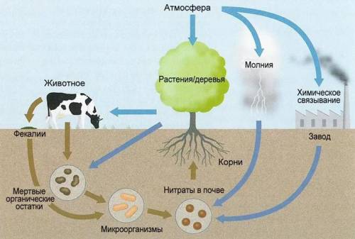 Составить круговорот серебра в природе