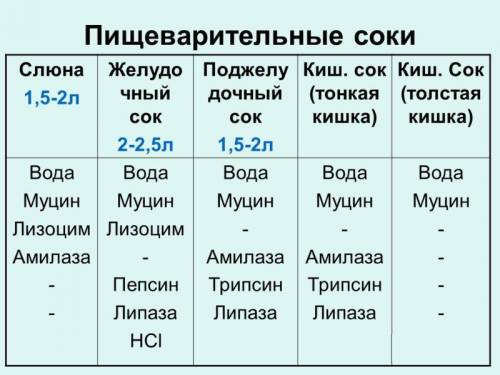 25 ! ! • сколько есть пищеварительных соков например слюна, желудочный сок и т.п.