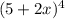 (5+2x)^4