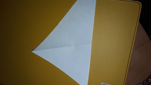 Лейла вырезала из плотного листа бумаги треугольник она утверждает,что может найти биссектрису,медиа