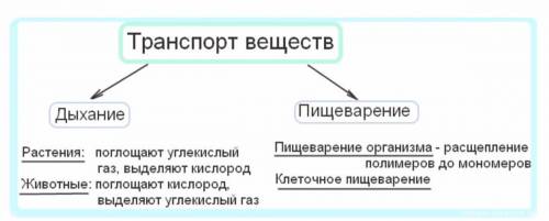 Напишите в виде схемы транспорт веществ в живых организмах​