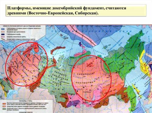 Большую часть территории россии занимают устойчивые участки земной коры-платформы. найди их на текто