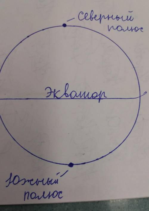 Как ориентирован глобус? какой полюс находится вверху глобуса, а какой внизу? что такое экватор? !