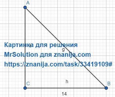 Втреугольнике abc угол c равен 90 градусов. вычислите длину гипотенузы ab, если bc=14 см и cosb= 7/2