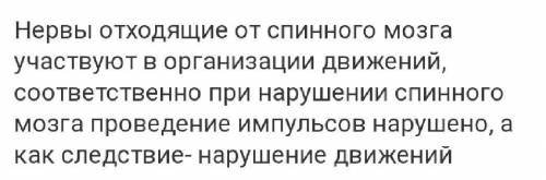 Почему человек с повреждённым спинным мозгом не может совершать сложные движения​