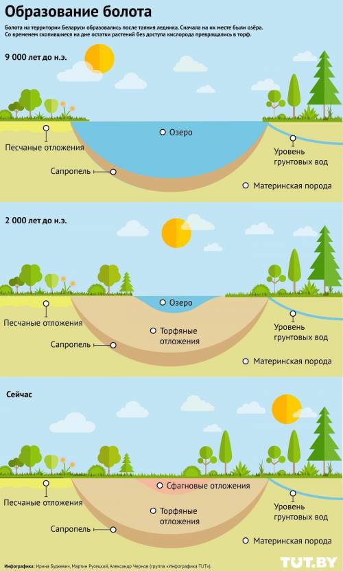 Что происходит в болотах? схема. нужно.​