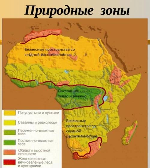Закрасте разными цветами и подпишите на карте природные зоны африки, в которых: а) отмечаются постоя