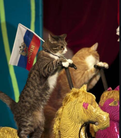 Расскажите сказачную о том как кошки стали выступать в цирке под руководством мышки.