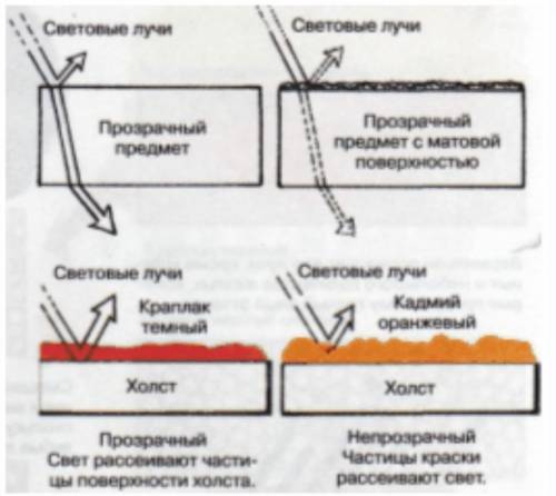 Поглощение и отражения раскрась в нужный цвет поглощаемые и отраженные цветовые лучи