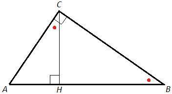 Высота прямоугольного треугольника проведенная из вершины угла к гипотенузе равна 2 корень из 5 см н