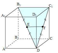 Вкубе точки f и e-середины диагоналей dc1 и b1d. какой плоскости параллельна прямая fe? 1) abc 2)aa