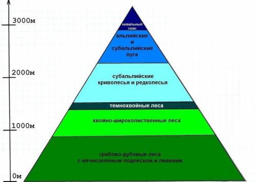 Нарисуйте или составьте схему как меняются природные зоны в зависимости от высоты ​