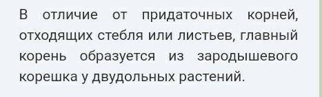 Назовите орган, который образуется из зародышевого корешка у двудольных растений.