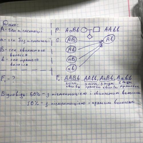 Якщо жінка з пігментацією (домінантна ознака) і хвилястим волоссям, у батька якої було пряме волосся