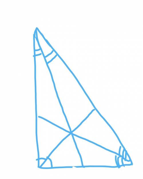 165. Дан прямоугольный треугольник. Постройте его б) биссектрисы;​
