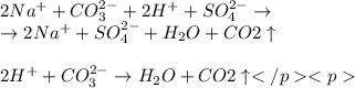 2Na^+ + CO_3^{2-} + 2H^+ + SO_4^{2-} \to \\ \:\: \to 2Na^+ + SO_4^{2-} + H_2O + CO2 \uparrow \: \\ \\ 2H^+ + CO_3^{2-} \to H_2O + CO2 \uparrow