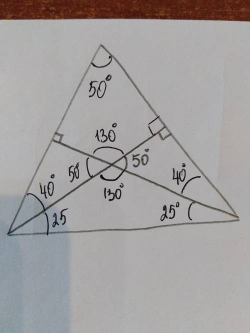 Кут між висотами проведений до бічних сторін рівнобедреного гострокутного трикутника дорівнює 50. зн