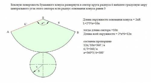 Боковую поверхность бумажного конуса развернута в сектор круга радиуса 6 найдите градусную меру цент
