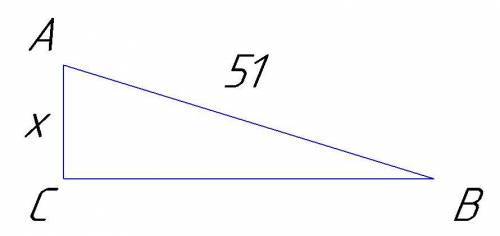 с геометрией; 8 классВ треугольнике ABC угол C = 90°, sin B = 5/17 , AB = 51. Найдите AC ​