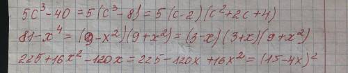 5с^3-40=; 81-х^4=; 225+16х^2-120х=разложите на множители