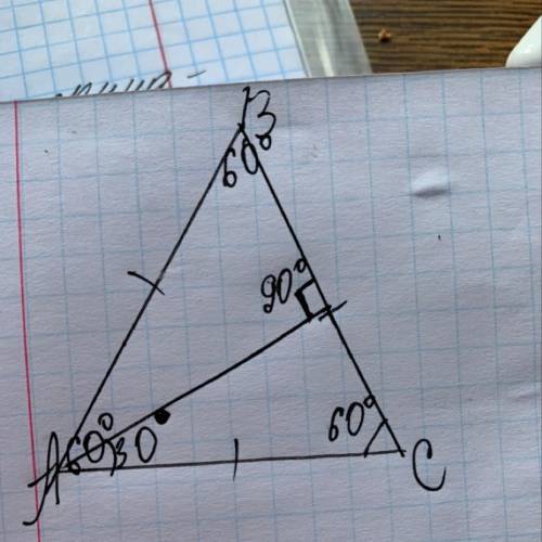 У рівностороннього трикутнику ABC проведено медіану AD. Знайдіть кути трикутника CAD​