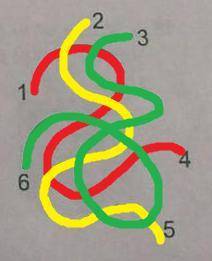 На рисунке изображены три веревочки. Какие концы нужно связать, чтобы получилась одна большая петля?
