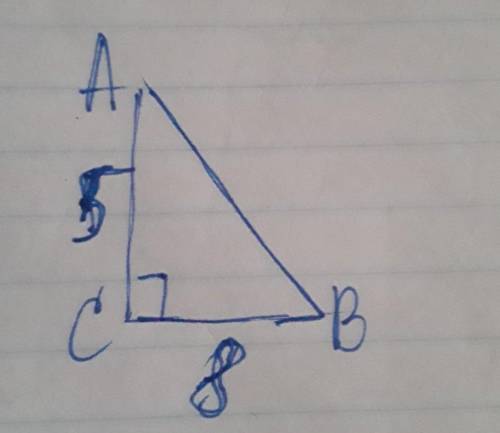В прямоугольном треугольнике катеты равны 5 и 8. Найти синусы, косинусы и тангенсы острых углов