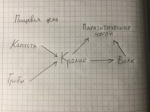 составить пищевую цепь включая в себя: Кролик,волк,капуста,паразитические черви,грибы