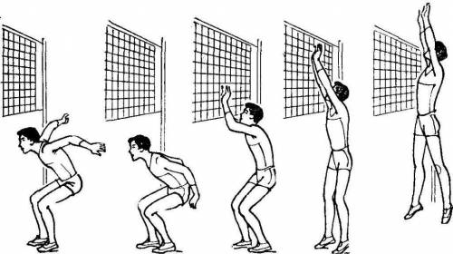 Правильне положення рук при виконанні блокування у волейболі?а) зігнуті в ліктях, кисті зведені, пал
