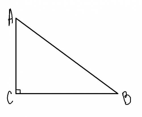 Нарисуй прямоугольный треугольник ABC так, чтобы ∢C =90°, CA= 15 см и CB= 20 см. Вычисли AB= см и н