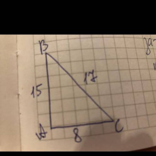 Сторони прямокутного трикутника дорівнюють 8см, 15см і 17см. Укажіть довжини катетів і гіпотенузи ць