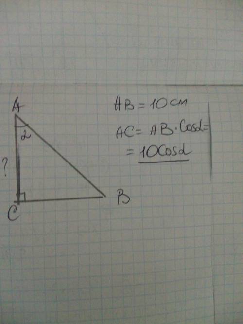 В прямоугольном треугольнике Вас , угол С =90°, АВ=10 см, <А = альфа, найти АС