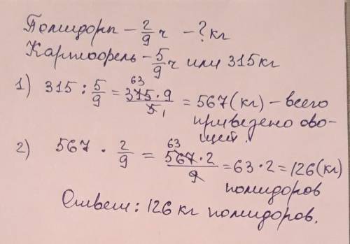 В магазин завезли овощи. Две девятых всех овощей — помидоры, а пять девятых всех овощей — картофель.