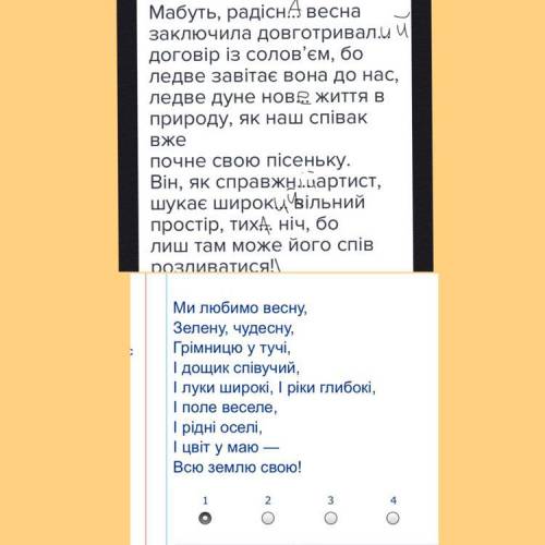 Прочитайте текст, вставте закінчення прикметників. Запишіть текст, закінчення прикметників виділіть