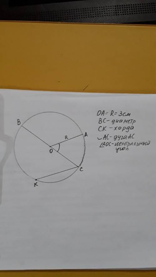 Построить окружность и указать его элементы: радиус, диаметр, хорда, дуга, центральный угол. Дескрип